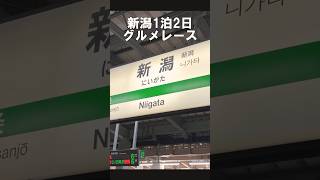 【新潟グルメ9選忙しい人向けver】新潟駅周辺！はじめての新潟で名物グルメを食べ歩き！グルメレース新潟グルメ 新潟観光 新潟旅行 新潟ランチ shorts [upl. by Norrehc]