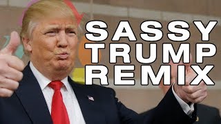 Sassy Trump Remix Song [upl. by Naugan873]