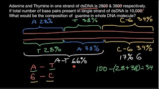 How to find DNA base composition [upl. by Radford412]