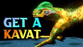 How To Get A Kavat In WARFRAME  Kavat Genetic Code Farm 2024 Guide tennocreate [upl. by Marlon726]