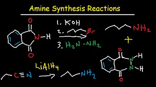 Amine Synthesis Reactions Organic Chemistry  Summary amp Practice Problems [upl. by Ramsden]