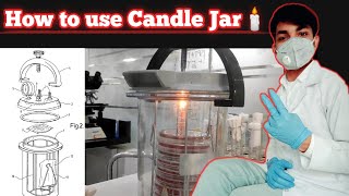 Anaerobic Culture Method  Cultivation of Anaerobes  Use of Candle Jar in  Anaerobic Cultivation [upl. by Flossy777]