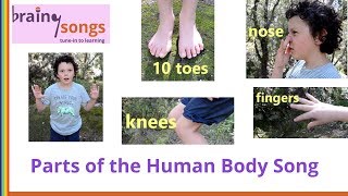 Parts of the Human Body Song  Freeze [upl. by Lorenzo]