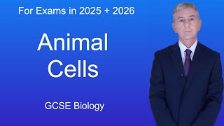 GCSE Biology Revision quotAnimal Cellsquot [upl. by Wyatt]