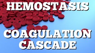 Secondary Hemostasis Coagulation Cascade Animation Made Easy [upl. by Garceau]