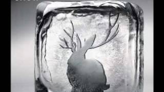 Miike Snow  Silvia Robotberget Remix  HQ  with cool shaky video [upl. by Cirenoj317]