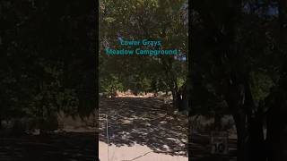 Inyo Forest California Lower Grays Meadows Campground [upl. by Orvil]