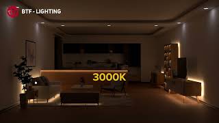 BTFLIGHTING FCOB LED Light Monochromatic Strip Light 3000K4000K6000K [upl. by Dorolice]