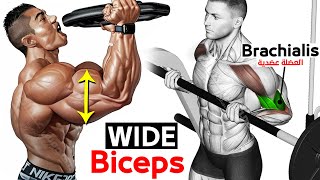 12 BEST Exercises for WIDER BICEPS [upl. by Hecklau]