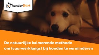 ThunderShirt  De natuurlijke kalmerende methode om vuurwerkangst bij honden te verminderen [upl. by Wende757]