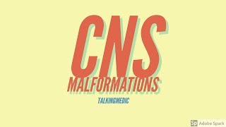 Pediatric CNS Malformations EXPLAINED [upl. by Gilmer]