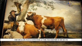 The Bull by Paulus Potter at the Mauritshuis Museum [upl. by Petunia540]