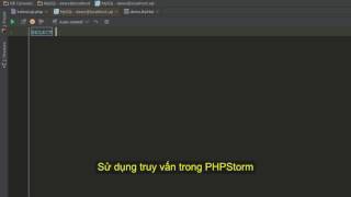 Hướng dẫn kết nối PHPStorm với MySQL [upl. by Alfreda171]