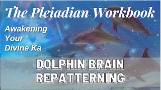 8✨ The Pleiadian Workbook  Chapter 8  Dolphin Brain Repatterning  Meditation Exercise 🐬🤍✨ [upl. by Alger365]