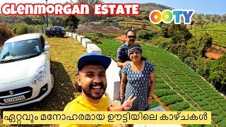 Glenmorgan Estate  Hidden beauty of ooty ടൂറിസ്റ്റുകൾക്കു പ്രവേശനം ഇല്ലാത്ത ഊട്ടിയിലെ സ്വർഗം [upl. by Roddie]