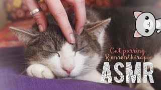 ASMR Français  Cat purring  Ronronnement  Ronronthérapie [upl. by Waly416]