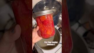 Today on the Homestead Canning Tomatoes for the First Time  High Altitude Water Bath shorts [upl. by Boycie41]