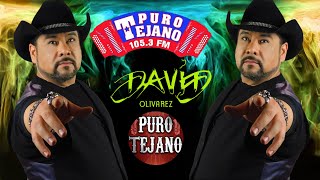 David Olivarez Puro Tejano Mix  David Olivarez Greatest Hits [upl. by Darnok]