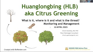 An Introduction to Huanglongbing HLB or Citrus Greening Disease [upl. by Ahcorb661]