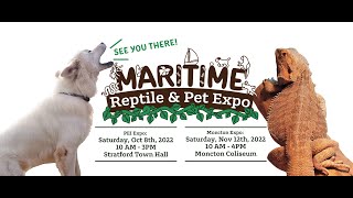 Maritime Reptile and Pet Expo 2022 in Moncton  At the speed of a 10 year old [upl. by Little]