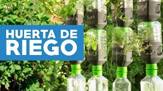 Cómo hacer una huerta de riego por goteo con botellas recicladas [upl. by Henigman]