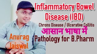 IBD Inflammatory Bowel Disease  Chrons Disease  Ulcerative Collitis [upl. by Nolyak978]