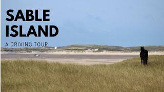 Driving a Jeep around Sable Island [upl. by Elrod629]