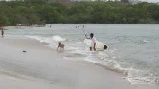 PLAYA LANGOSTA  COSTA RICA [upl. by Nomelif]