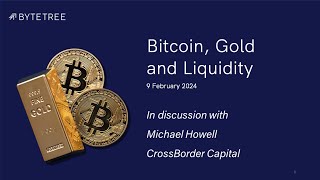 Bitcoin Gold and Liquidity [upl. by Ylrebmik]