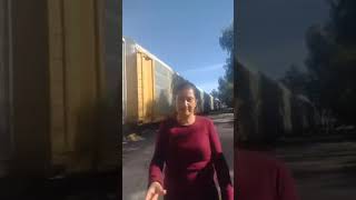 migrantes en tren la bestia migracion a frontera norte USA por asilo comar visa inm SOS [upl. by Eserahs]