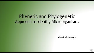 Phenetic and phylogenetic approaches to identifying microorganism  Taxonomy [upl. by Chapa]