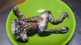 Amazing Frog Soup with Garlic 蒜頭青蛙湯 in Taipei Taiwan  Whole frog with skin  Street food [upl. by Ididn]