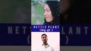 about the nettle plant shrot video  biology📚📚 [upl. by Gusba135]