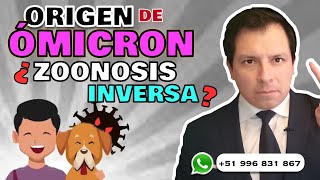 ¿ZOONOSIS INVERSA EN EL ORIGEN DE LA VARIANTE ÓMICRON ⚠️ [upl. by Aikahs733]