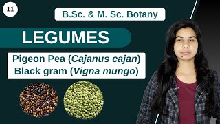 Economic Botany  LEGUMES  B Sc amp M Sc [upl. by Nies]