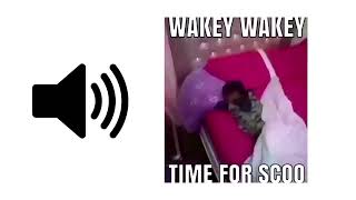 Wakey Wakey Its Time For School  Meme Sound Effect  ProSounds [upl. by Gnah]