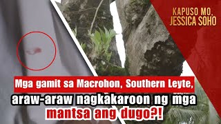 Mga gamit sa Southern Leyte arawaraw nagkakaroon ng mga mantsa ng dugo  Kapuso Mo Jessica Soho [upl. by Gussman]