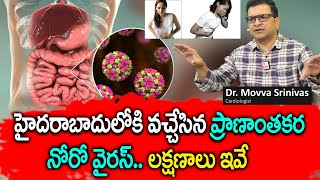 Dr Movva Srinivas  హైదరాబాద్‌ను వణికిస్తున్న నోరో వైరస్‌  Norovirus Symptoms and Precautions [upl. by Pettit]