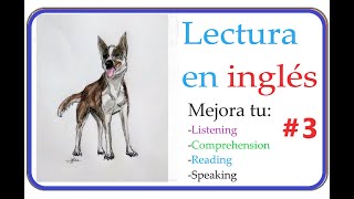 Lectura en inglés para aprender 3  Reading Practice  3 Firulais [upl. by Eicart]