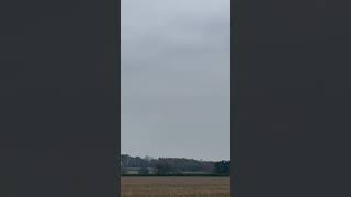 Golden plover in flight migration wildlife Berkshire [upl. by Nylassej]