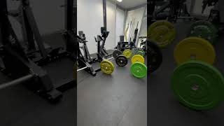 choosing a bumper like 👀 bumper plates workout weights funny funnyshorts gymhumor adele [upl. by Ysak]