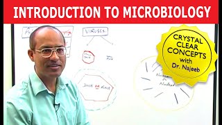 Introduction to Microbiology [upl. by Oflodur]