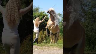 ghoda super hero 🥰🐎🤩 shorts ghoda horse animals super hero [upl. by Imik]