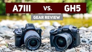 Sony A7iii vs Panasonic GH5 for Video [upl. by Mya]