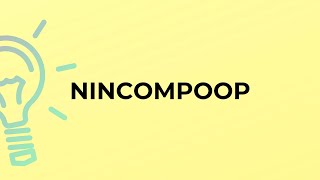 What is the meaning of the word NINCOMPOOP [upl. by Sire922]