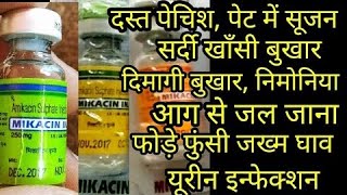 Mikacin injection 500mgAntibioticMedicineUse in hindi💯💯 [upl. by Llertak]