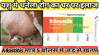 Mastitis Treatment In Cows In Hindi  थनैला रोग का 100 देशी और रामबाण ईलाज  Thanela Rog ka Upchar [upl. by Ayokahs331]