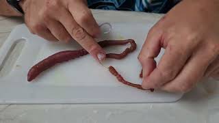 Bloodworm bait presentation [upl. by Dow]