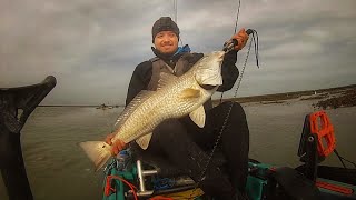 Redfish Frenzy  South Texas Kayak Fishing  Oldtown Sportsman PDL 120 [upl. by Notxarb68]