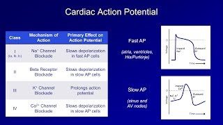 Antiarrhythmics Lesson 1  An Introduction [upl. by Akerdnahs489]